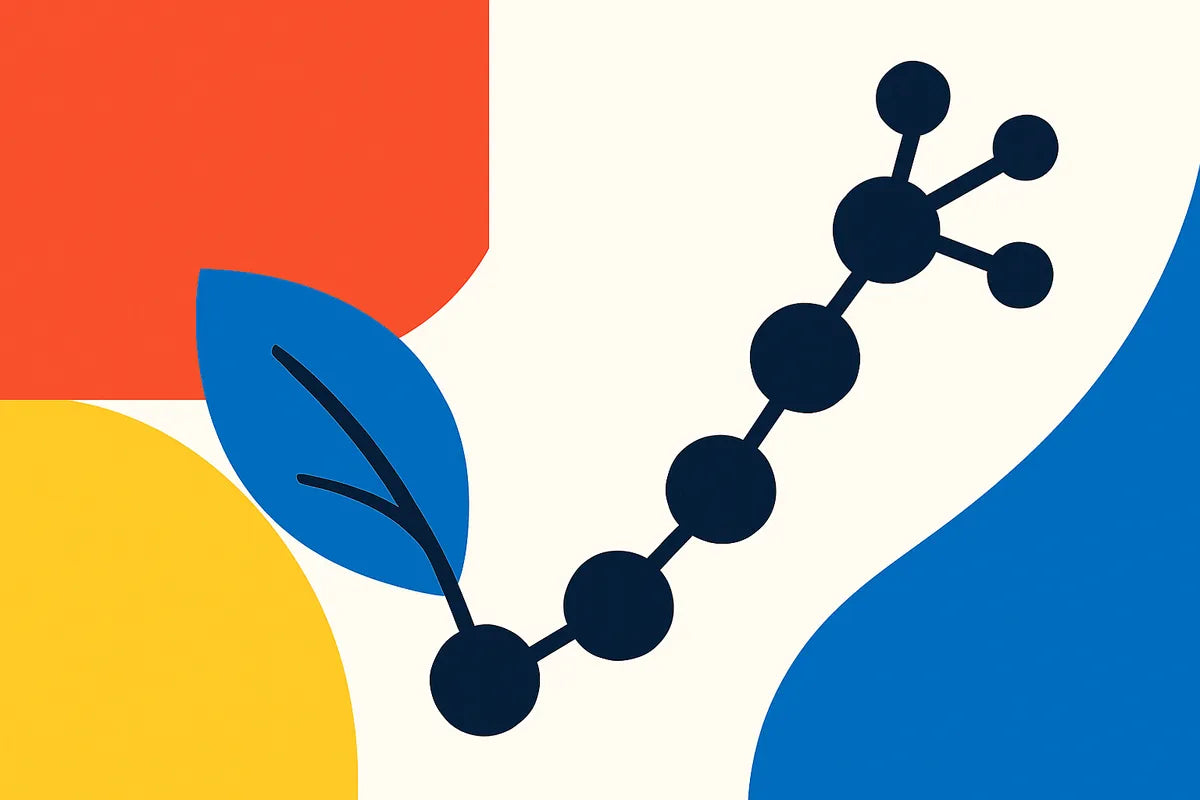 Phosphatidylcholine: What It Is, How It Works, and Why It Matters for Your Health - illustration