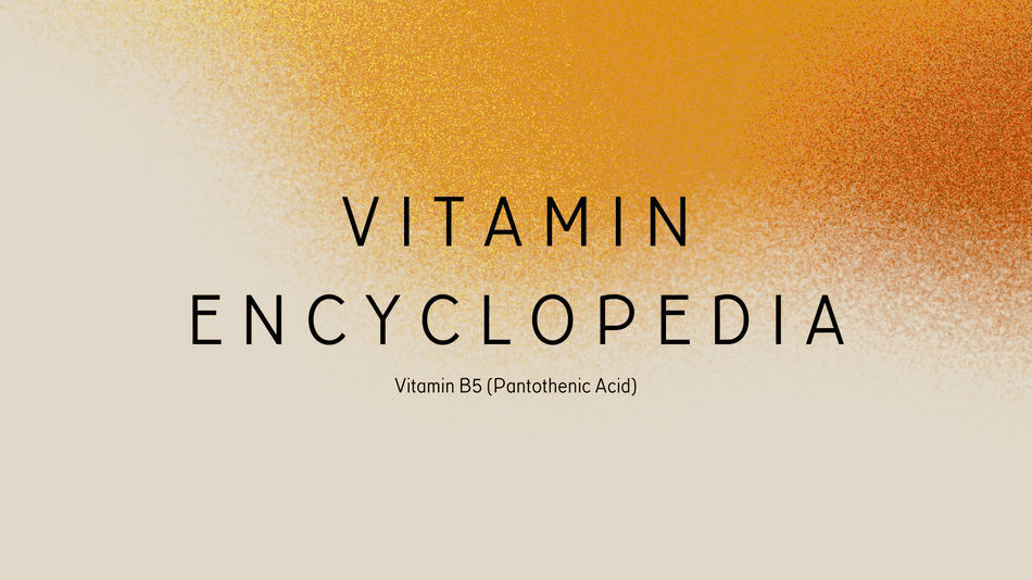 Everything You Need to Know About Vitamin B5 (Pantothenic Acid ...