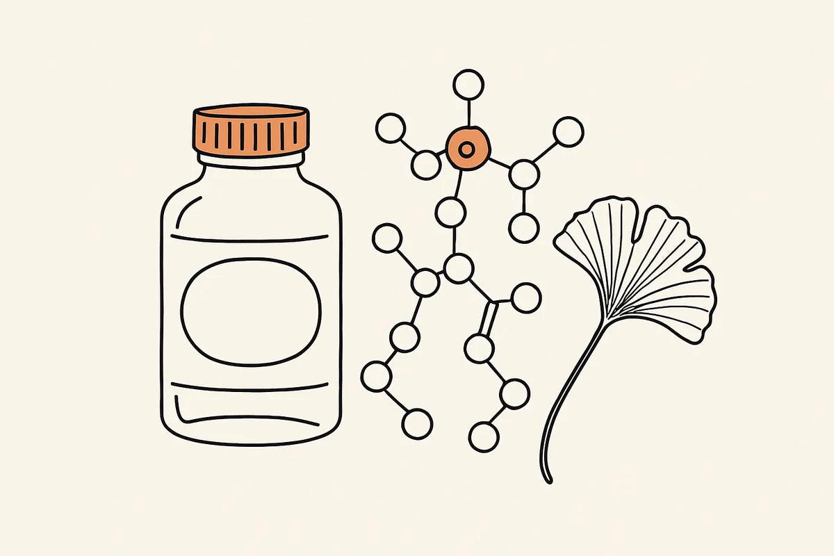 Phosphatidylserine: What It Is, How It Works, and Why It Matters for Brain Health - illustration